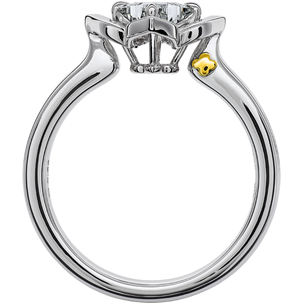 HRGOR7003-B